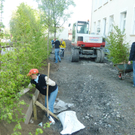 Garten7_jpg-1304949814