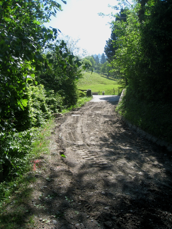 Halden Stra__ensanierung 2011 _22__jpg-1304954722