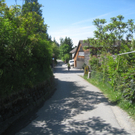Halden Stra__ensanierung 2011 _3__jpg-1304954465