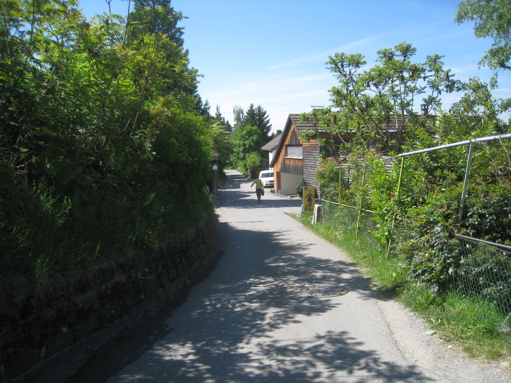 Halden Stra__ensanierung 2011 _3__jpg-1304954465