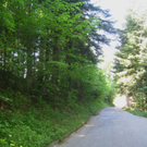 Halden Stra__ensanierung 2011 _8__jpg-1304954539