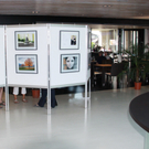 Ausstellung  2011 170_jpg-1304965131