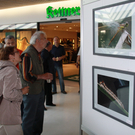 Ausstellung  2011 179_jpg-1304965286