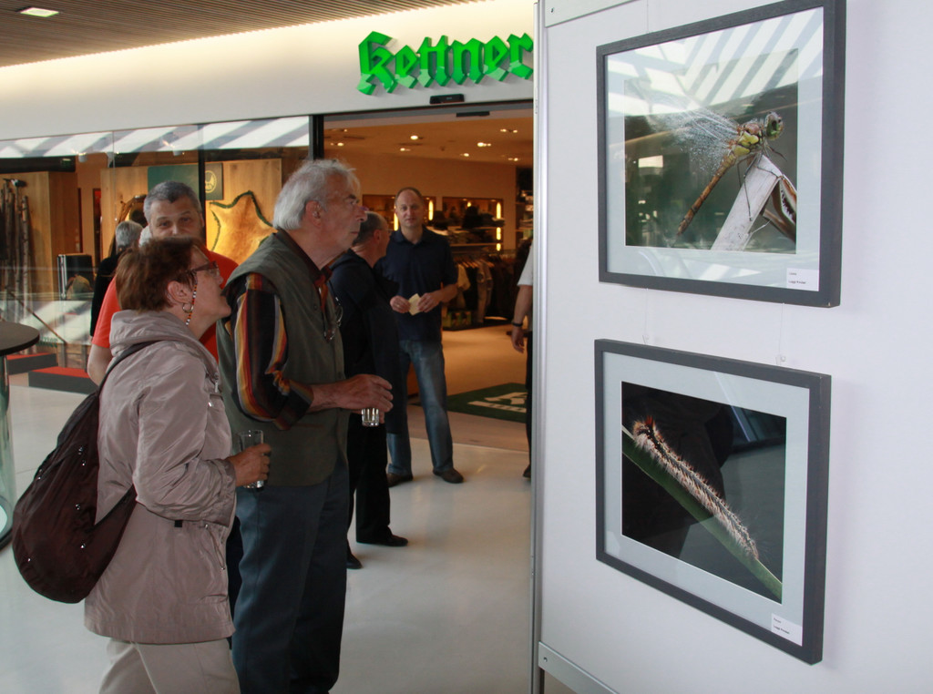 Ausstellung  2011 179_jpg-1304965286