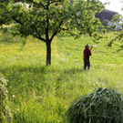 KOE_OGV Fellengatter 5_jpg-1305010812
