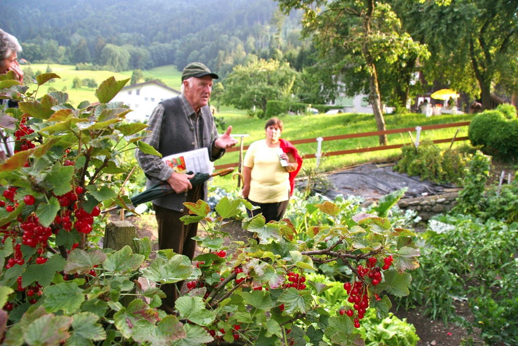 KOE_OGV Fellengatter 15_jpg-1305010895