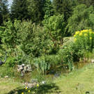 DSC00325_JPG-1305011755