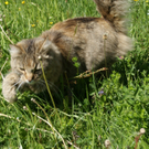 DSC00326_JPG-1305011773