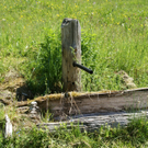 DSC00329_JPG-1305011797