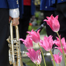 515_bearbeitet-1_jpg-1305015742