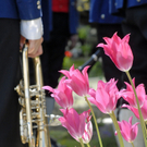 515_bearbeitet-1_jpg-1305016863