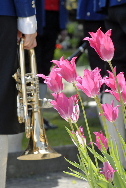 515_bearbeitet-1_jpg-1305016863