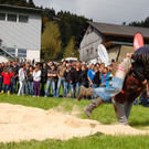Schwinger6.jpg
