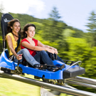 Alpine Coaster