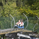 Alp13.jpg