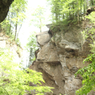 IMG_7534.jpg