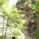 IMG_7525.jpg
