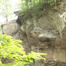IMG_7524.jpg