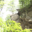 IMG_7523.jpg