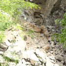 IMG_7519.jpg