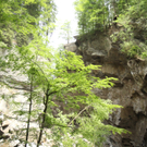 IMG_7516.jpg