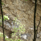 IMG_7511.jpg
