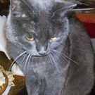 PICT0030_neu.jpg