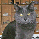 PICT0029_neu.jpg