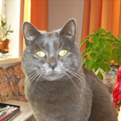 PICT0007_neu.jpg