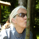 GoodallZoo10051105.jpg