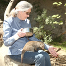 GoodallZoo10051121.jpg