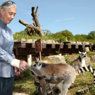GoodallZoo10051131.jpg