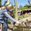 GoodallZoo10051132.jpg