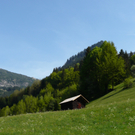 P1080673.JPG