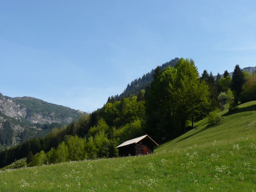 P1080673.JPG