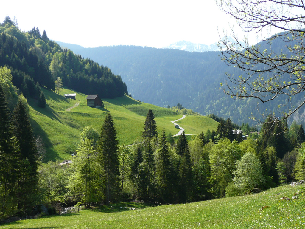 P1080680.JPG