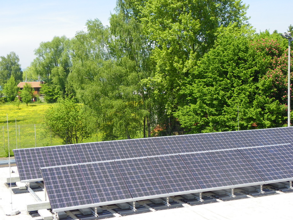 Bild 446_jpg-1305067851