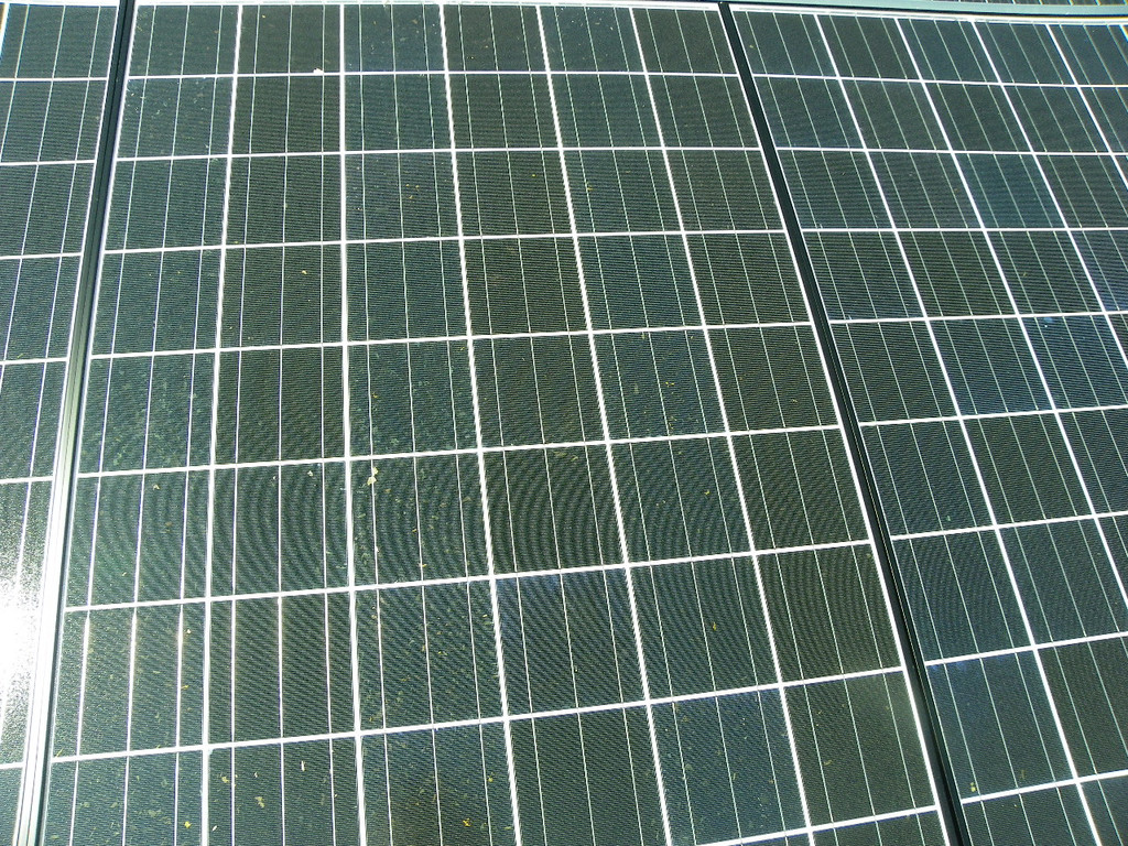 Bild 450_jpg-1305067872