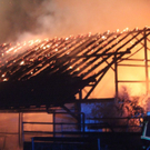 normal_10052011vollbandschwindeggfaaktivnews_030.jpg