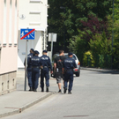 normal_11052011sucheffaktivnews_06.jpg