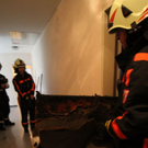 normal_11052011brandffaktivnews_15.jpg