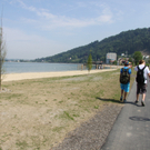 IMG_5854.jpg
