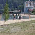 IMG_5855.jpg