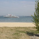 IMG_5858.jpg