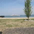 IMG_5859.jpg