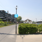 IMG_5861.jpg