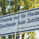 1504868032-schraege-schilder-kiwi_9.jpg