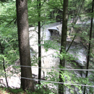 IMG_5880.jpg