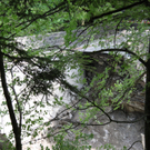 IMG_5875.jpg