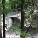IMG_5878.jpg